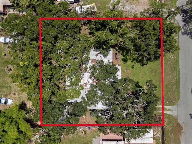 11704 Orange Grove Ter, Riverview, FL 33569 - view of property location with property boundaries highlighted