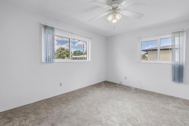 3652 18th Ave N, Saint Petersburg, FL 33713 - photo 22