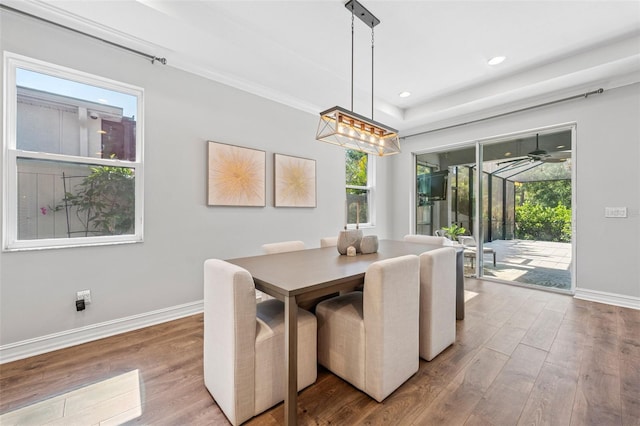 12121 Rustic River Way, Tampa, FL 33635 - dining space featuring wood finished floors, plenty of natural light, and recessed lighting