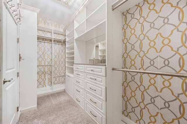12121 Rustic River Way, Tampa, FL 33635 - walk in closet featuring light colored carpet