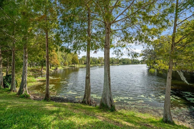 2557 Laurelwood Dr Unit 10D, Clearwater, FL 33763 - photo 38