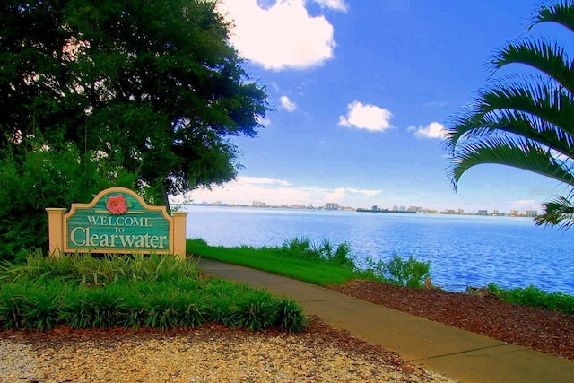 2557 Laurelwood Dr Unit 10D, Clearwater, FL 33763 - photo 53