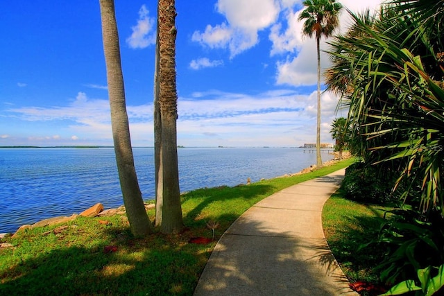 2557 Laurelwood Dr Unit 10D, Clearwater, FL 33763 - photo 54