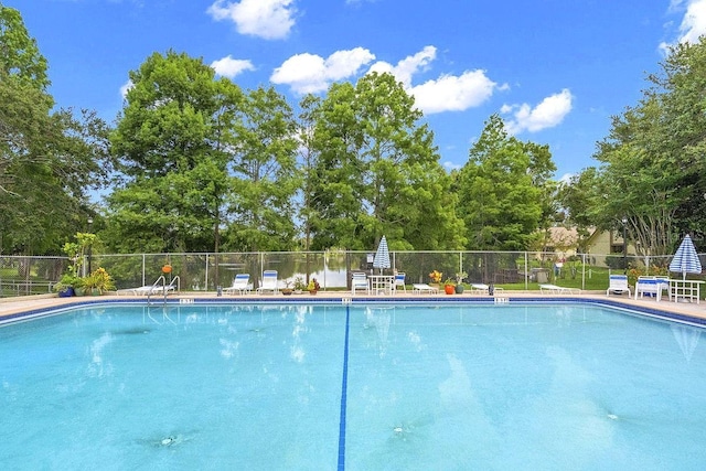 2557 Laurelwood Dr Unit 10D, Clearwater, FL 33763 - photo 42