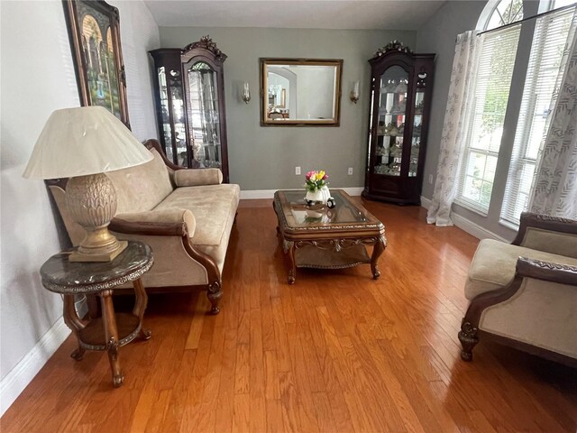 9220 Hidden Water Cir, Riverview, FL 33578 - photo 4