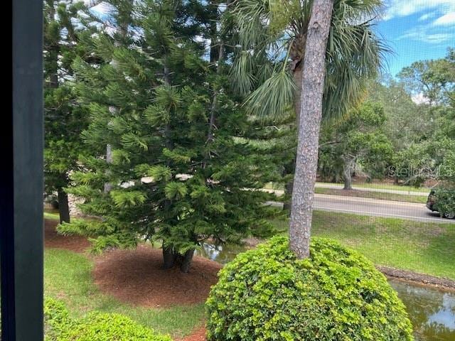140 Nina Way, Oldsmar, FL 34677 - view of yard