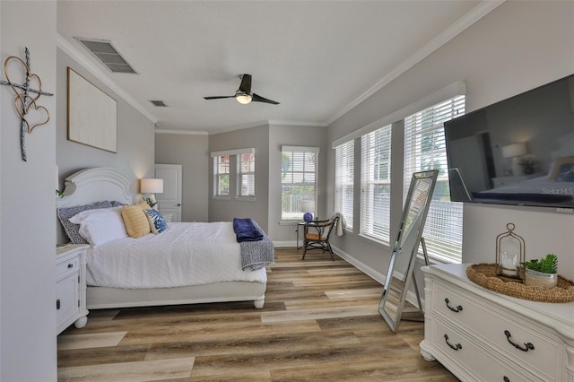 5710 Tortoise Pl, Apollo Beach, FL 33572 - bedroom with ornamental molding, multiple windows, light wood finished floors, and ceiling fan
