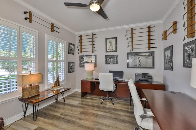 5710 Tortoise Pl, Apollo Beach, FL 33572 - home office featuring wood finished floors, crown molding, and a ceiling fan