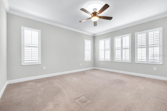 21675 Amelia Rose Way, Land O Lakes, FL 34637 - spare room featuring a ceiling fan, ornamental molding, and light carpet