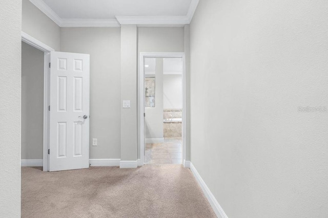 21675 Amelia Rose Way, Land O Lakes, FL 34637 - hallway with crown molding and carpet flooring