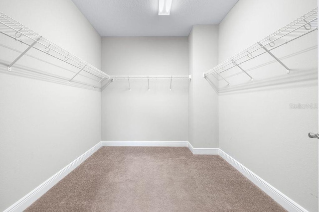 21675 Amelia Rose Way, Land O Lakes, FL 34637 - spacious closet with carpet floors
