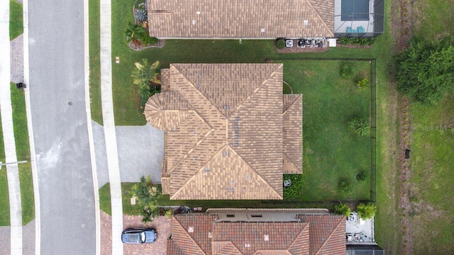 21675 Amelia Rose Way, Land O Lakes, FL 34637 - view from above of property