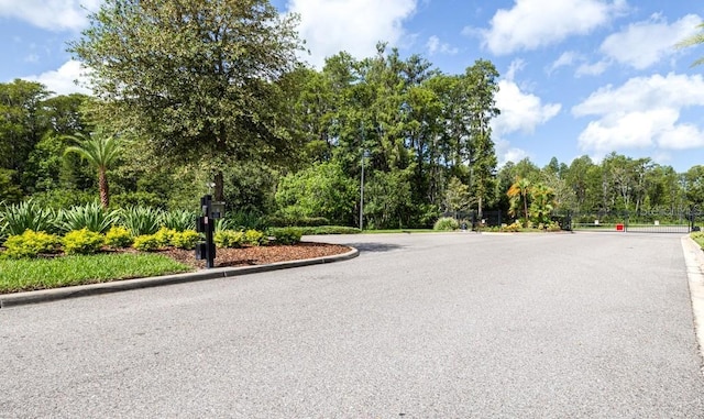 21675 Amelia Rose Way, Land O Lakes, FL 34637 - view of asphalt road featuring curbs and view of wooded area