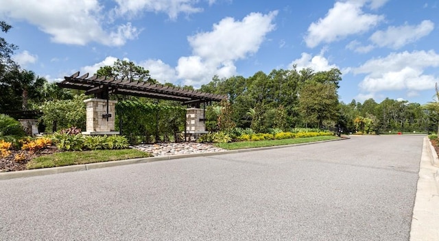 21675 Amelia Rose Way, Land O Lakes, FL 34637 - view of asphalt road with curbs