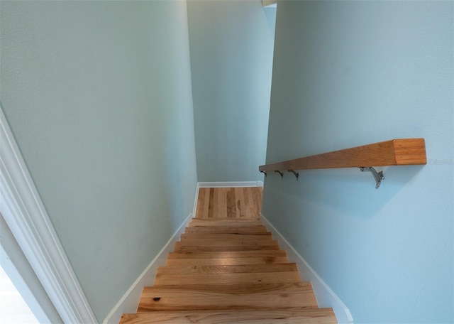 3516 W Santiago St, Tampa, FL 33629 - photo 20