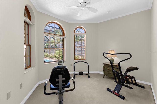 3772 Woodridge Pl, Palm Harbor, FL 34684 - workout area featuring carpet floors, ceiling fan, crown molding, and a textured ceiling