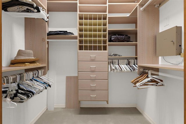 3772 Woodridge Pl, Palm Harbor, FL 34684 - walk in closet with carpet floors