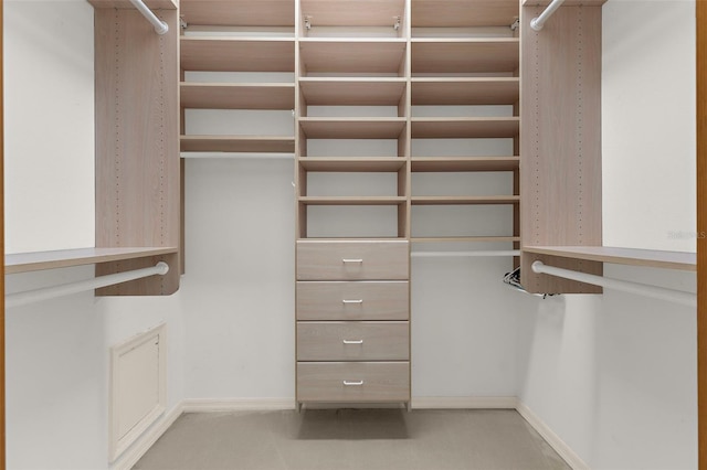 3772 Woodridge Pl, Palm Harbor, FL 34684 - view of spacious closet