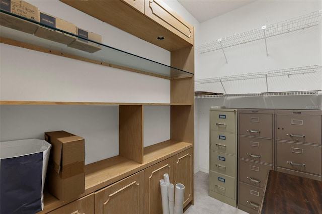 3772 Woodridge Pl, Palm Harbor, FL 34684 - view of spacious closet