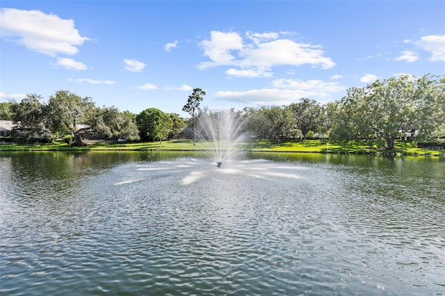 3772 Woodridge Pl, Palm Harbor, FL 34684 - water view