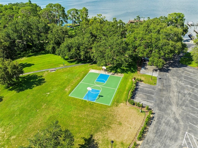 3772 Woodridge Pl, Palm Harbor, FL 34684 - bird's eye view of a large body of water