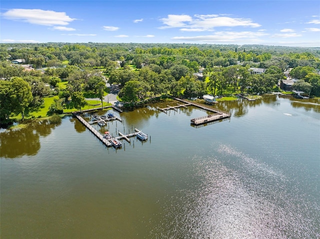 3772 Woodridge Pl, Palm Harbor, FL 34684 - aerial view of a large body of water