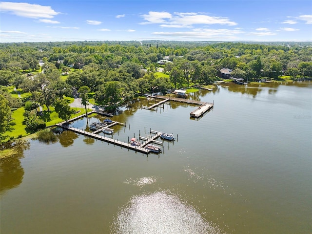 3772 Woodridge Pl, Palm Harbor, FL 34684 - aerial view of a large body of water