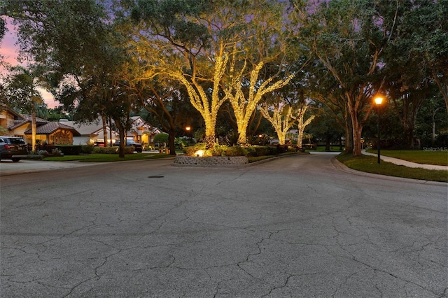3772 Woodridge Pl, Palm Harbor, FL 34684 - photo 96