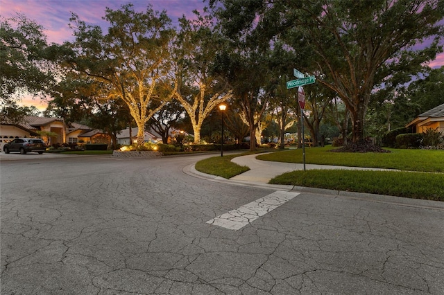 3772 Woodridge Pl, Palm Harbor, FL 34684 - photo 97