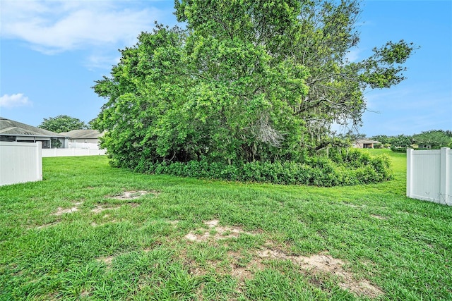 247 Winthrop Dr, Spring Hill, FL 34609 - view of yard