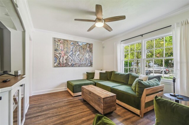 1208 E Crenshaw St, Tampa, FL 33604 - living area featuring ornamental molding, wood finished floors, and ceiling fan