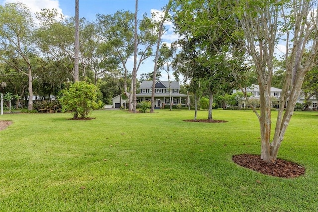 523 2nd Ave SW, Lutz, FL 33548 - view of grassy yard