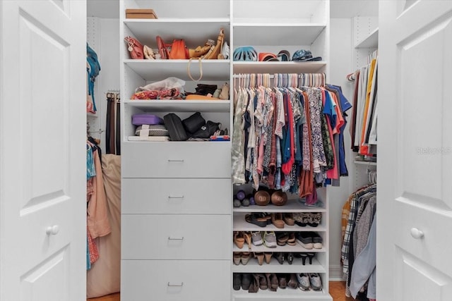 523 2nd Ave SW, Lutz, FL 33548 - view of walk in closet
