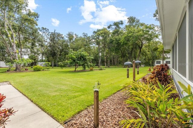 523 2nd Ave SW, Lutz, FL 33548 - view of grassy yard with view of wooded area