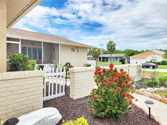 8110 Damara Dr, New Port Richey, FL 34653 - view of yard