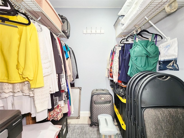 8110 Damara Dr, New Port Richey, FL 34653 - view of spacious closet