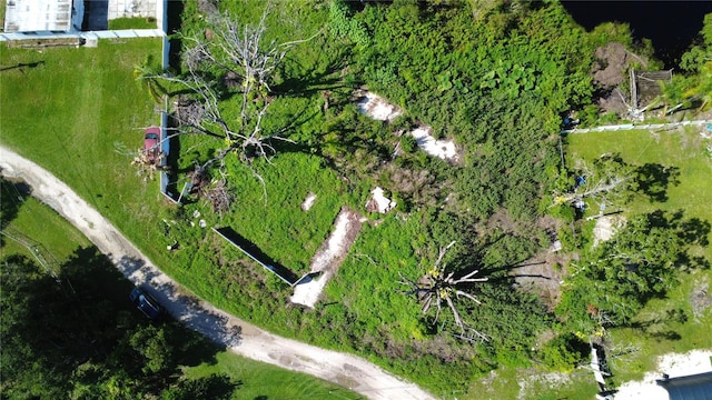 1932 Andrews Loop, Lutz, FL 33558