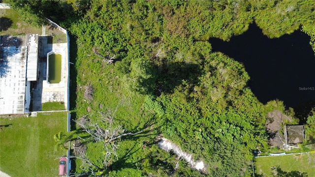 1932 Andrews Loop, Lutz, FL 33558