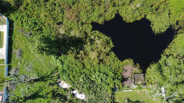1932 Andrews Loop, Lutz, FL 33558