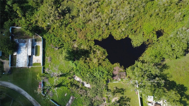 1932 Andrews Loop, Lutz, FL 33558