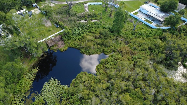 1932 Andrews Loop, Lutz, FL 33558