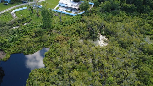 1932 Andrews Loop, Lutz, FL 33558