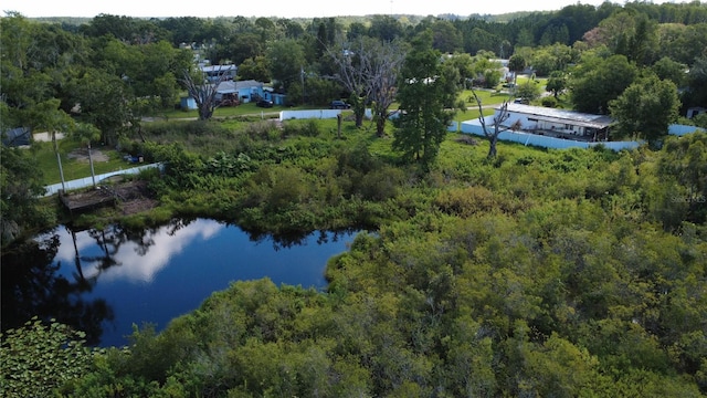 1932 Andrews Loop, Lutz, FL 33558