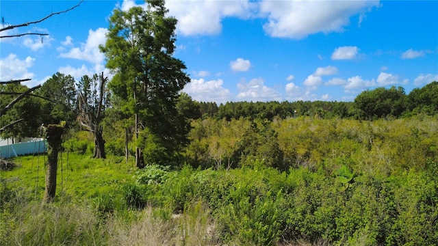 1932 Andrews Loop, Lutz, FL 33558
