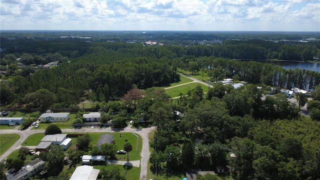 1932 Andrews Loop, Lutz, FL 33558
