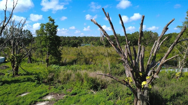1932 Andrews Loop, Lutz, FL 33558