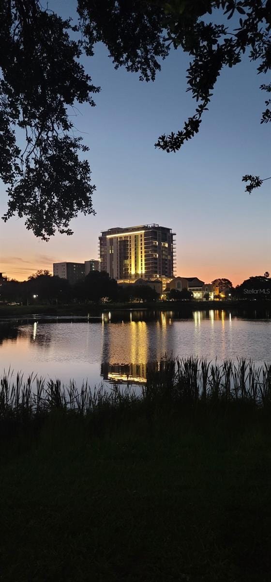 777 3rd Ave N Unit 1704, Saint Petersburg, FL 33701 - water view