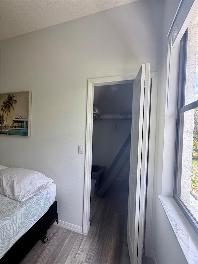 199 N Crystal Meadow Path, Lecanto, FL 34461 - bedroom with wood finished floors, a spacious closet, and a closet