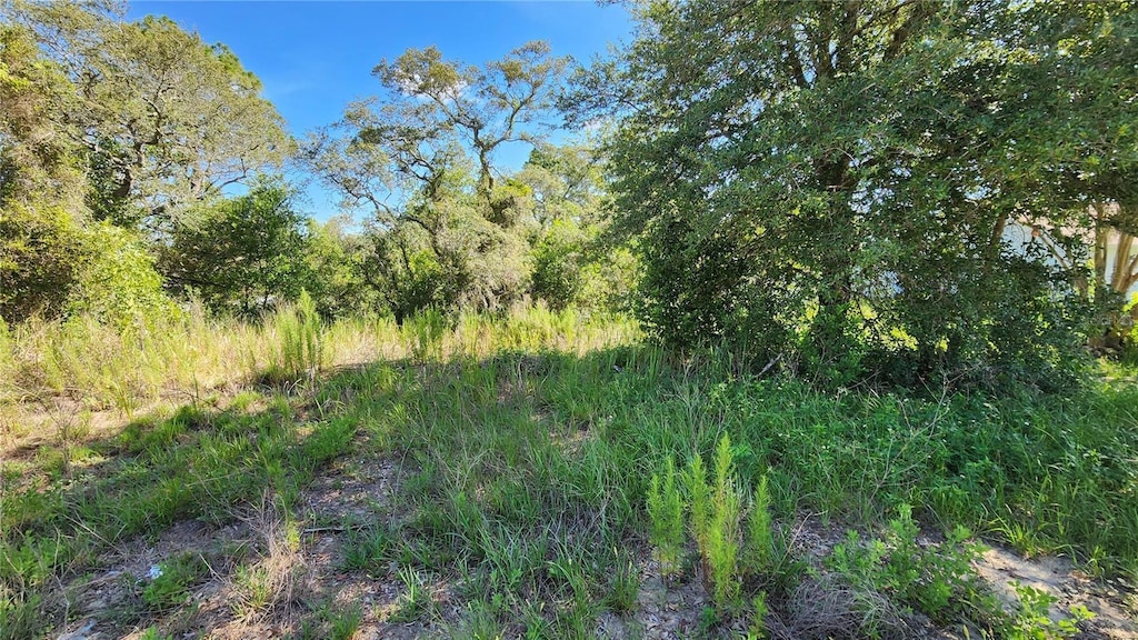 12501 Centennial St, Spring Hill, FL 34609
