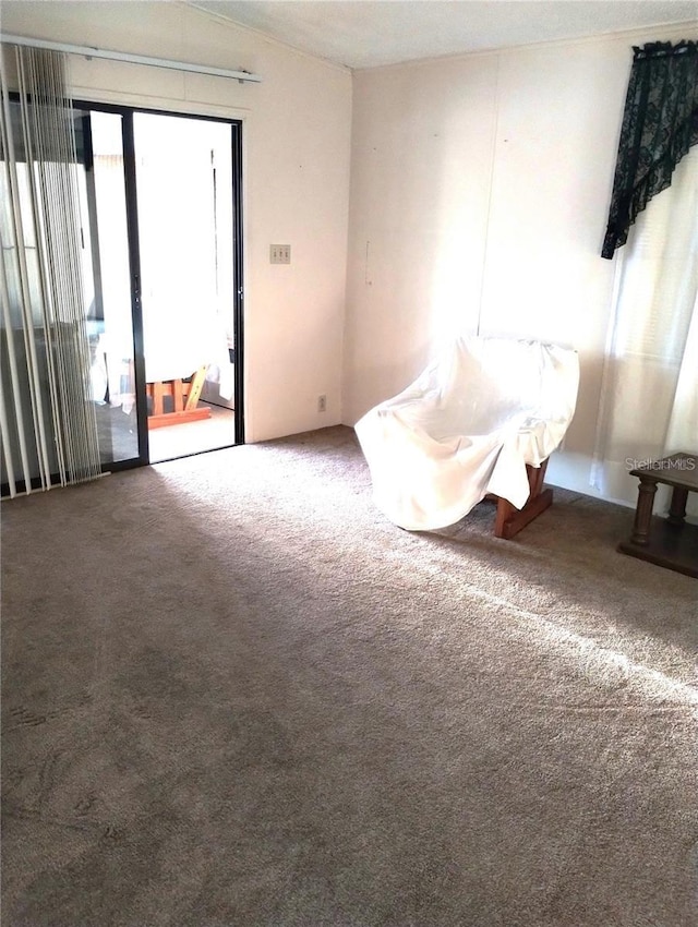 6443 Midland St, Zephyrhills, FL 33542 - view of carpeted empty room